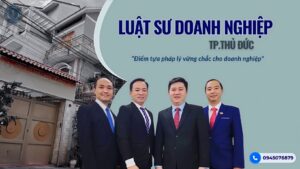 luat su doanh nghiep
