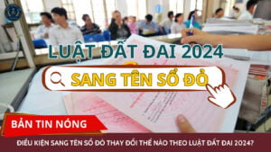 web cong ty luat sangtensodo