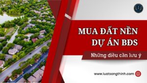 mua dat nen du an bds